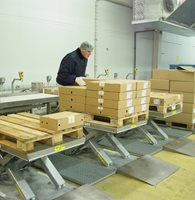 Translyft lifting table for palletizing